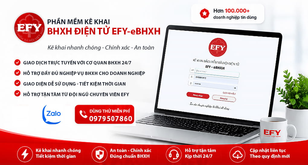 Phần mềm EFY
